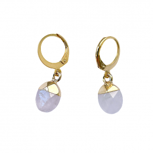 Deze Stainless Steel oorbellen met rozenkwarts hangers shop je bij Mila jwls.