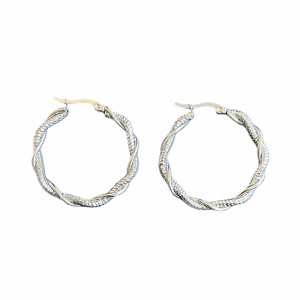 Deze stainless steel oorbellen shop je bij Mila jwls.