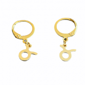 Deze roestvrijstalen oorbellen hebben zodiac bedels er aan hangen en shop je bij Mila jwls.