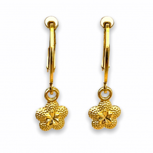 Deze RVS oorbellen met gold plated bedels shop je bij Mila jwls.