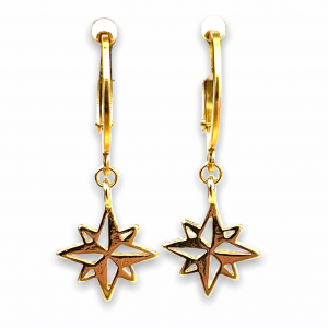 Deze RVS oorbellen met gold plated bedels shop je bij Mila jwls.
