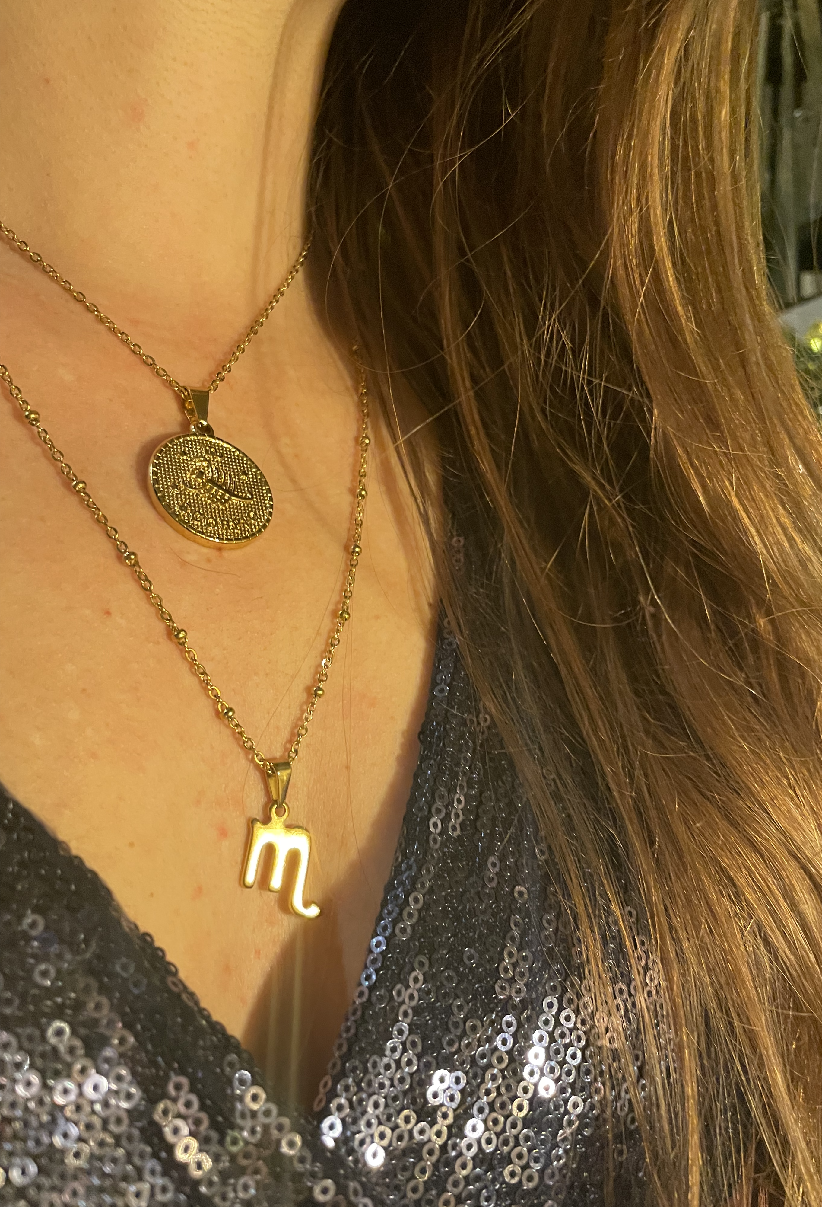 De Leda ketting van Mila jwls is de zodiac ketting die je niet mag missen.