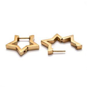 Deze Ally oorbellen zijn gemaakt van Stainless Steel en hebben de vorm van een ster.