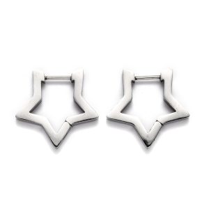 Deze Ally oorbellen zijn gemaakt van Stainless Steel en hebben de vorm van een ster.