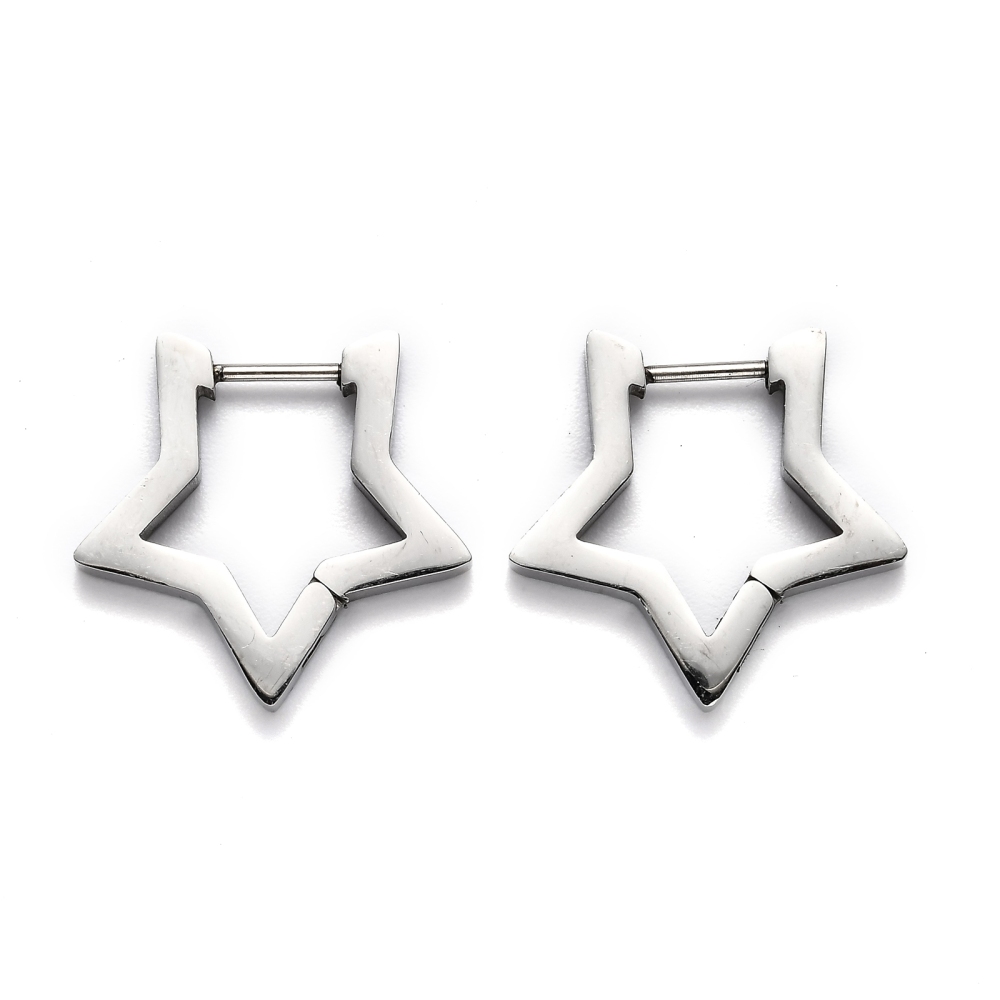 Deze Ally oorbellen zijn gemaakt van Stainless Steel en hebben de vorm van een ster.
