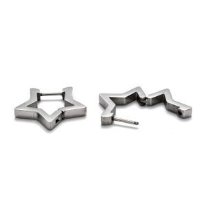 Deze Ally oorbellen zijn gemaakt van Stainless Steel en hebben de vorm van een ster.