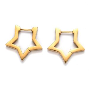 Deze Ally oorbellen zijn gemaakt van Stainless Steel en hebben de vorm van een ster.